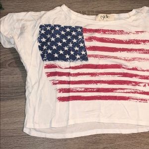 SEXY American flag crop top